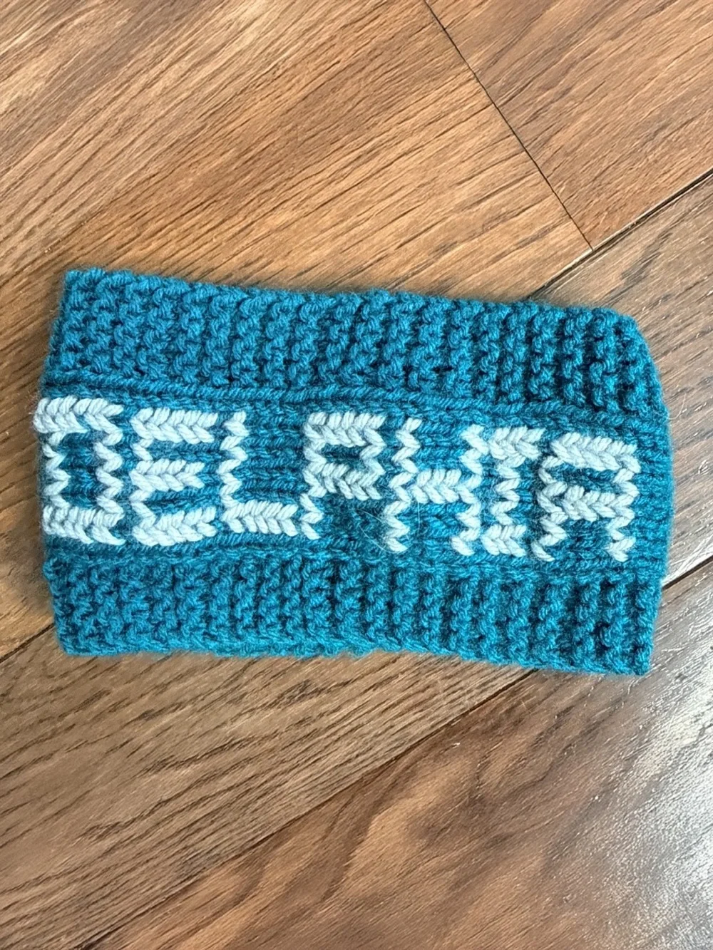 Handmade Philadelphia Eagles Knit Headband Ear Warmer Unisex OS